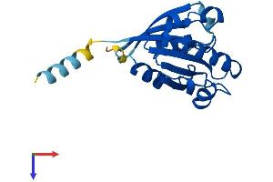 ARL8B Protein (AA 1-186) (His tag)