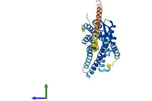 AlphaFold protein structure predicition of Mouse Recombinant Agtr2 Protein, UniprotID P35374