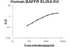 Human TNFRSF13C/BAFFR Accusignal ELISA Kit Human TNFRSF13C/BAFFR AccuSignal ELISA Kit standard curve. (TNFRSF13C ELISA Kit)