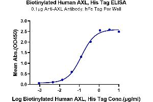 Immobilized Anti-AXL Antibody, hFc Tag at 1 μg/mL (100 μL/Well) on the plate. (AXL Protein (His-Avi Tag,Biotin))