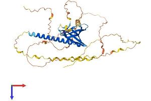 PHLDA1 Protein (AA 1-405) (His tag)