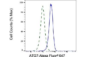 Validation of ATG7 knockdown using flow cytometry.