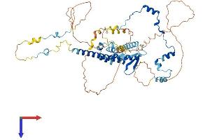 RAD21L1 Protein (AA 1-556) (His tag)
