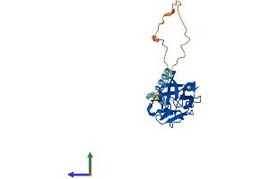 Protein Structure (PS) image for Fibroblast Growth Factor 20 (FGF20) (AA 1-211) protein (His tag) (ABIN7547739)
