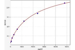 Corin, Serine Peptidase (CORIN) ELISA Kit