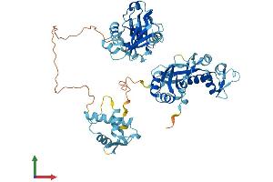 Protein Structure (PS) image for Eukaryotic Translation Initiation Factor 2D (EIF2D) (AA 1-570) protein (His tag) (ABIN7563909)