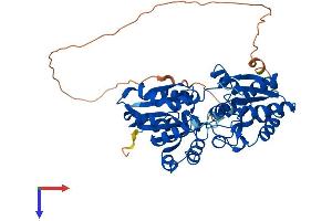 GTDC1 Protein (AA 1-458) (His tag)
