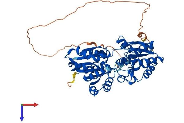 GTDC1 Protein (AA 1-458) (His tag)