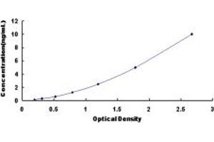 Typical standard curve (ZEB2 ELISA Kit)