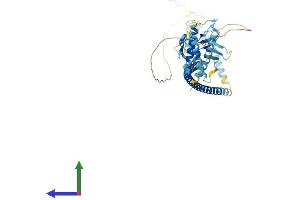 AlphaFold protein structure predicition of Mouse Recombinant Becn2 Protein, UniprotID P0DM65 (Becn2 (AA 1-447) protein (His tag))