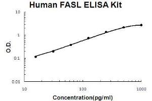 Human FASL PicoKine ELISA Kit standard curve