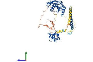 Protein Structure (PS) image for Drebrin-Like (DBNL) (AA 1-430) protein (His tag) (ABIN7553649)
