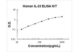 Interleukin 22 (IL22) ELISA Kit