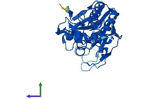 Protein Structure (PS) image for Lactamase, beta 2 (LACTB2) (AA 1-288) protein (His tag) (ABIN7549013)