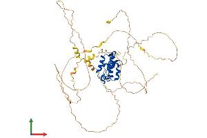 AlphaFold protein structure predicition of Mouse Recombinant Foxn4 Protein, UniprotID Q8K3Q3