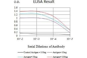 Black line: Control Antigen (100 ng),Purple line: Antigen (10 ng), Blue line: Antigen (50 ng), Red line:Antigen (100 ng) (TNFRSF8 Antikörper  (AA 19-379))