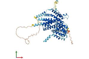 Protein Structure (PS) image for Solute Carrier Family 13 Member 3 (SLC13A3) (AA 1-600) protein (His tag) (ABIN7560097)