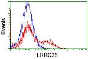 HEK293T cells transfected with either RC209911 overexpress plasmid (Red) or empty vector control plasmid (Blue) were immunostained by anti-LRRC25 antibody (ABIN2455890), and then analyzed by flow cytometry. (LRRC25 Antikörper)