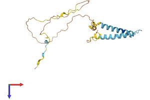 TMEM134 Protein (AA 1-195) (His tag)
