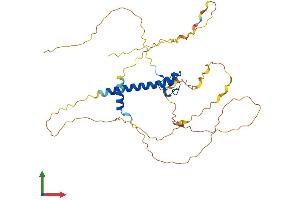 Protein Structure (PS) image for DMRT-Like Family C2 (DMRTC2) (AA 1-367) protein (His tag) (ABIN7547138)
