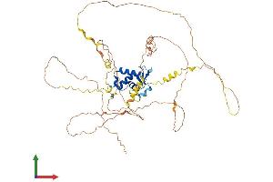 Protein Structure (PS) image for Forkhead Box C1 (FOXC1) (AA 1-553) protein (His tag) (ABIN7557717)