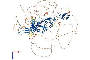 SEC16B Protein (AA 1-1051) (His tag)