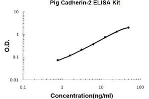 Pig Cadherin-2/N-Cadherin PicoKine ELISA Kit standard curve (N-Cadherin ELISA Kit)