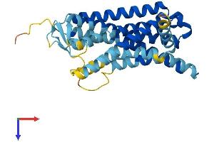 Olfactory Receptor, Family 1, Subfamily F, Member 2 (OR1F2P) (AA 1-312) protein (His tag)