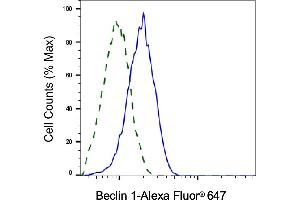 Validation of Beclin 1 knockdown using flow cytometry. (Rekombinanter Beclin 1 Antikörper)