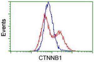 HEK293T cells transfected with either RC208947 overexpress plasmid (Red) or empty vector control plasmid (Blue) were immunostained by anti-CTNNB1 antibody (ABIN2454168), and then analyzed by flow cytometry. (CTNNB1 Antikörper)