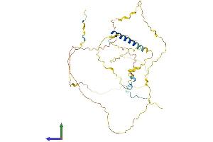 PSRC1 Protein (AA 1-363) (His tag)