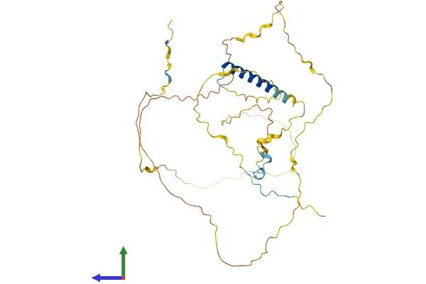 PSRC1 Protein (AA 1-363) (His tag)