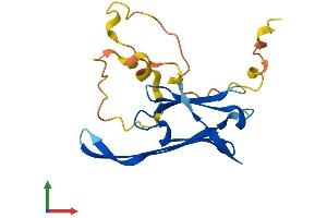 Protein Structure (PS) image for Heat Shock Protein, alpha-Crystallin-Related, B6 (HSPB6) (AA 1-162) protein (His tag) (ABIN7557437)