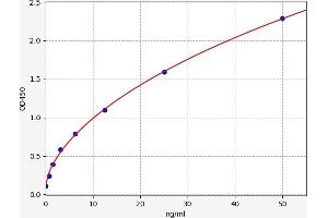 CD93 ELISA Kit