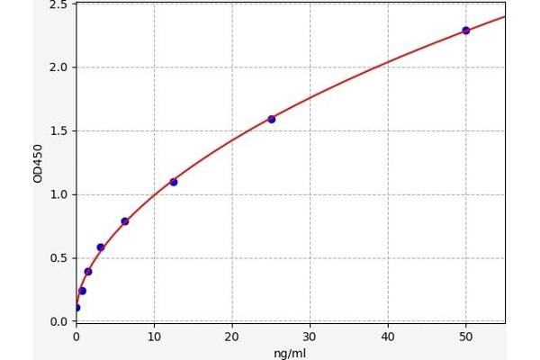 CD93 ELISA Kit