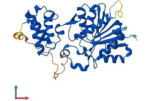 AlphaFold protein structure predicition of Mouse Recombinant Hemk1 Protein, UniprotID Q921L7
