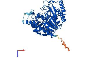 HDAC8 Protein (AA 1-377) (His tag)