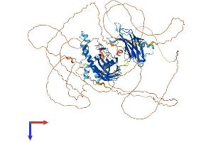 SYTL2 Protein (AA 1-934) (His tag)