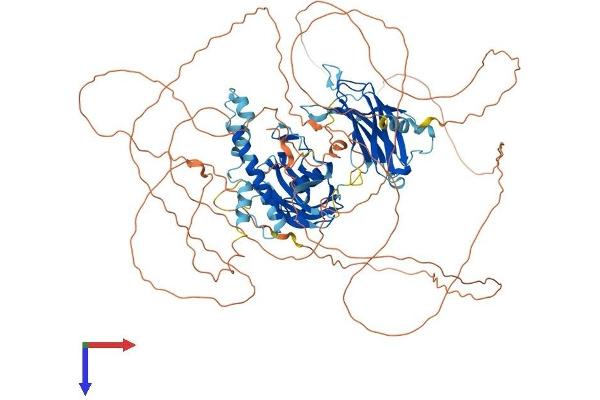 SYTL2 Protein (AA 1-934) (His tag)