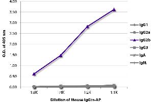 ELISA plate was coated with Goat Anti-Mouse IgG1, Human ads-UNLB was captured and quantified.