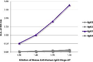 ELISA plate was coated with purified human IgG1, IgG2, IgG3, and IgG4. (Maus anti-Human IgG3 (Hinge Region) Antikörper (Alkaline Phosphatase (AP)))