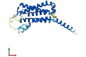 AlphaFold protein structure predicition of Human Recombinant DOLPP1 Protein, UniprotID Q86YN1