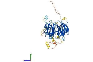 Protein Structure (PS) image for DDB1 and CUL4 Associated Factor 12-Like 2 (DCAF12L2) (AA 1-469) protein (His tag) (ABIN7558588)