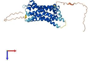 SSTR5 Protein (AA 1-362) (His tag)