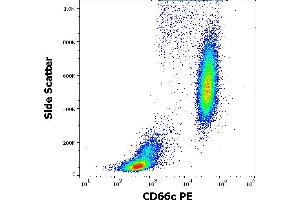 Flow cytometry surface staining pattern of human peripheral whole blood stained using anti-human CD66c (B6. (CEACAM6 Antikörper  (PE))