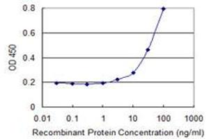 Detection limit for recombinant GST tagged PRDM4 is 1 ng/ml as a capture antibody. (PRDM4 Antikörper  (AA 476-575))