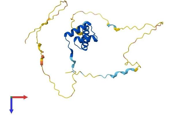 PROP1 Protein (AA 1-226) (His tag)