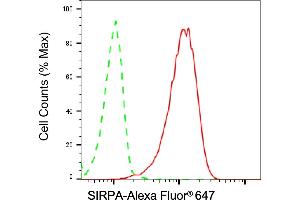 Flow cytometric analysis of SIRPA expression in HT- cells using SIRPA antibody (ABIN7800350), 1:2,000). (Rekombinanter SIRPA Antikörper)