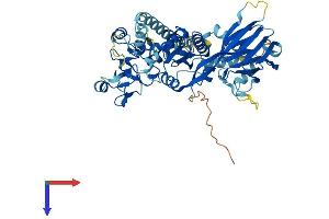 DGKE Protein (AA 1-567) (His tag)