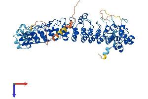 ASB14 Protein (AA 1-587) (His tag)